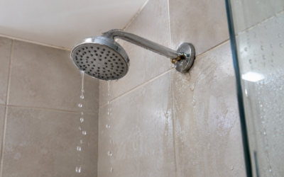 Spring Is Here: Fix Your Leaking Shower Before Sydney’s Summer Arrives